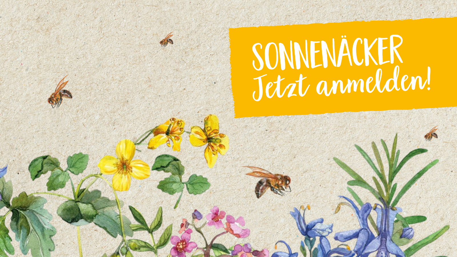 Titelbild Sonnenacker Anmeldung Mobil 1600x898